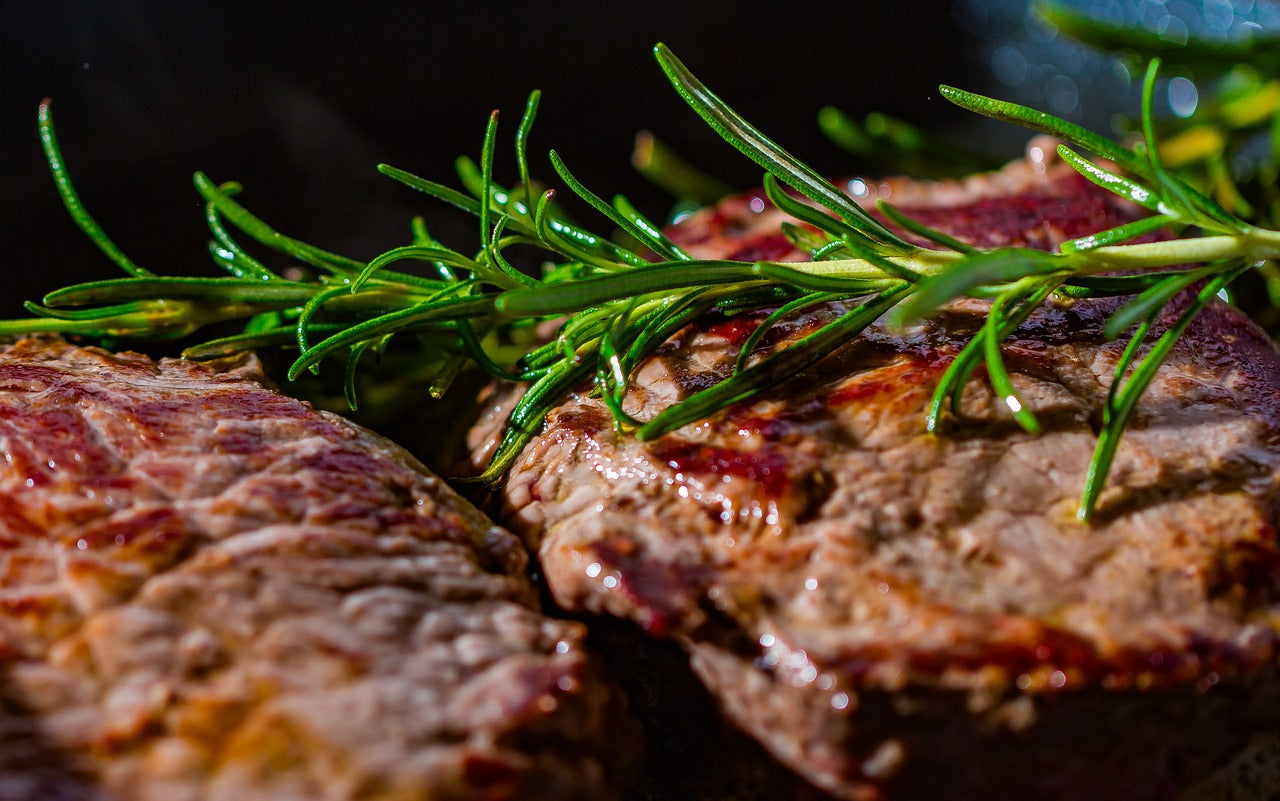 Strict Carnivore Bundle